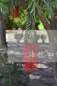 法院如何认定夫妻分居 法院如何认定夫妻分居