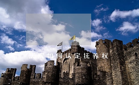 法院如何认定抚养权