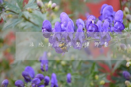 法院如何调整律师费