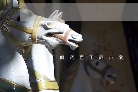 法院如何调查工商方案 法院如何调查工商方案