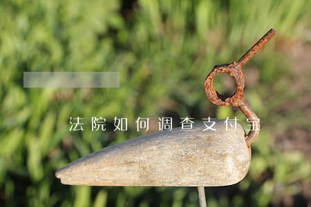 法院如何调查支付宝 法院如何调查支付宝