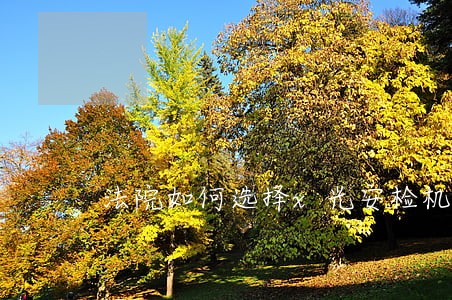 法院如何选择x光安检机与安检门 法院如何选择x光安检机与安检门