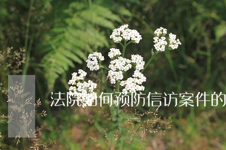 法院如何预防信访案件的方案