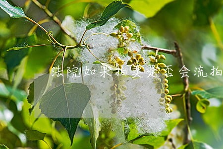 法院如果拍卖是否会流拍 法院如果拍卖是否会流拍
