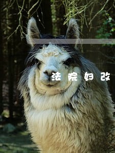 法院妇改联 法院妇改联