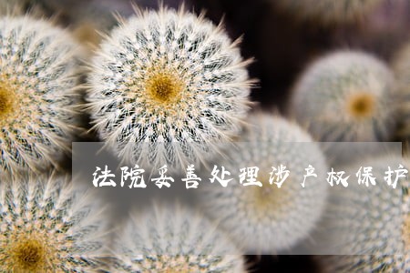 法院妥善处理涉产权保护案件 法院妥善处理涉产权保护案件