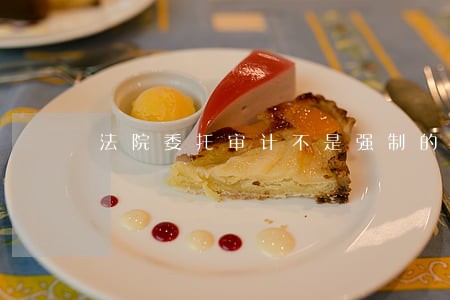 法院委托审计不是强制的 法院委托审计不是强制的
