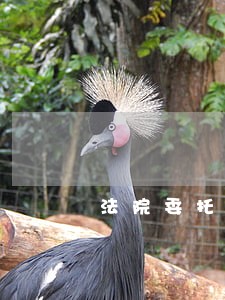 法院委托房产评估流程 法院委托房产评估流程