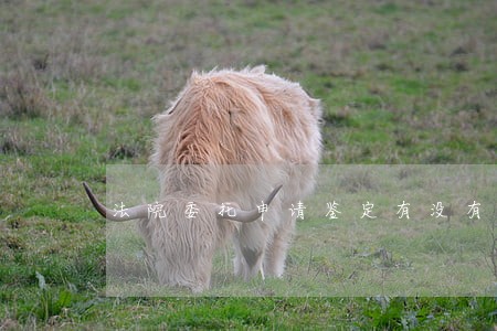 法院委托申请鉴定有没有期限 法院委托申请鉴定有没有期限