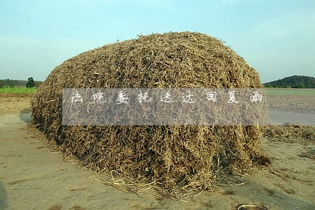 法院委托送达回复函 法院委托送达回复函