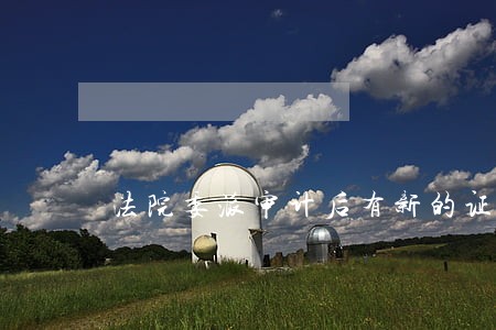 法院委派审计后有新的证据 法院委派审计后有新的证据
