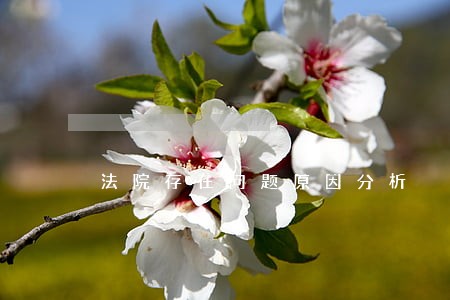 法院存在问题原因分析