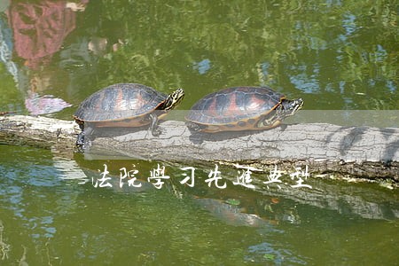 法院学习先进典型 法院学习先进典型