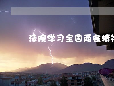 法院学习全国两会精神 法院学习全国两会精神