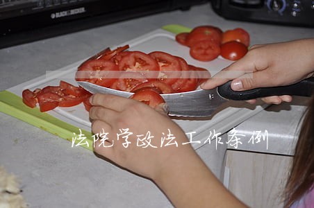 法院学政法工作条例