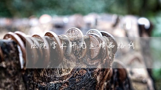 法院学术研究走精品路线