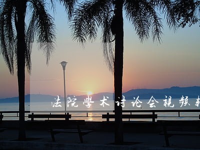 法院学术讨论会视频辅导讲座