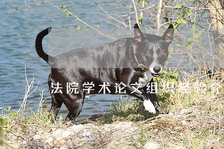 法院学术论文组织经验介绍 法院学术论文组织经验介绍