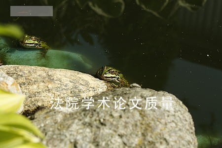 法院学术论文质量 法院学术论文质量