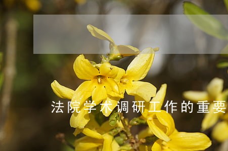 法院学术调研工作的重要性 法院学术调研工作的重要性