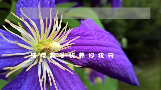 法院孩子抚养权执行 法院孩子抚养权执行