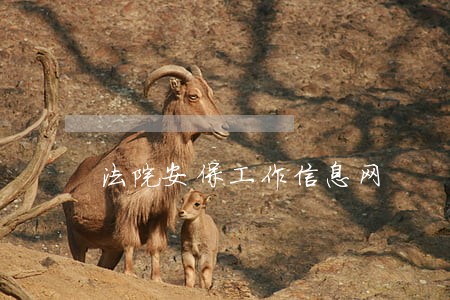 法院安保工作信息网 法院安保工作信息网