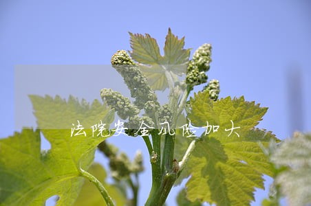 法院安全风险加大