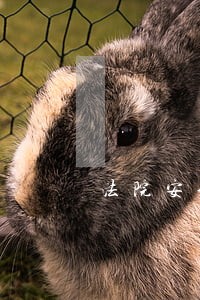 法院安全风险排查及自查自纠 法院安全风险排查及自查自纠