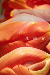 法院安徽中控建设有限公司 法院安徽中控建设有限公司