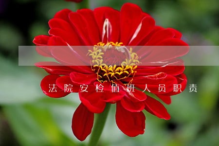 法院安检值班人员职责