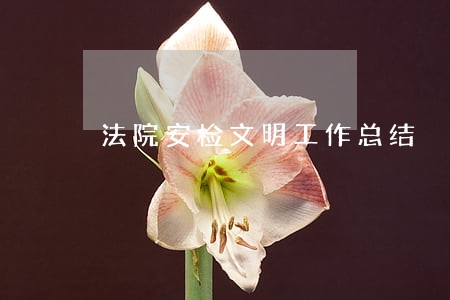 法院安检文明工作总结 法院安检文明工作总结