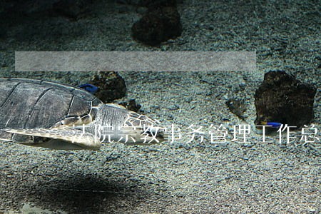 法院宗教事务管理工作总结 法院宗教事务管理工作总结