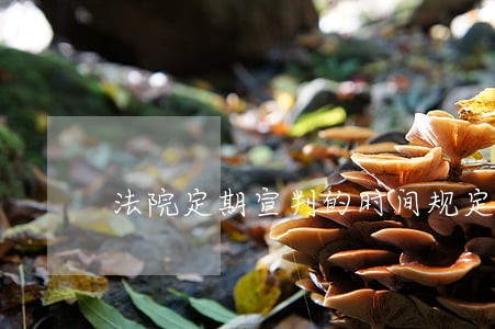 法院定期宣判的时间规定 法院定期宣判的时间规定