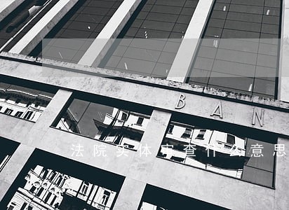 法院实体审查什么意思