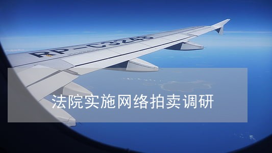 法院实施网络拍卖调研