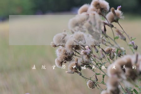 法院实际审理天数是真的吗 法院实际审理天数是真的吗