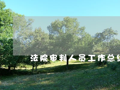 法院审判人员工作总结 法院审判人员工作总结