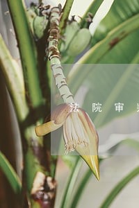 法院审判员学什么 法院审判员学什么