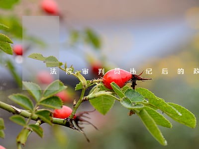 法院审判员违纪后的政纪处分 法院审判员违纪后的政纪处分