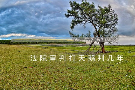法院审判打天鹅判几年 法院审判打天鹅判几年