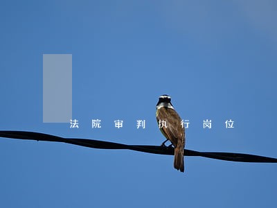 法院审判执行岗位 法院审判执行岗位