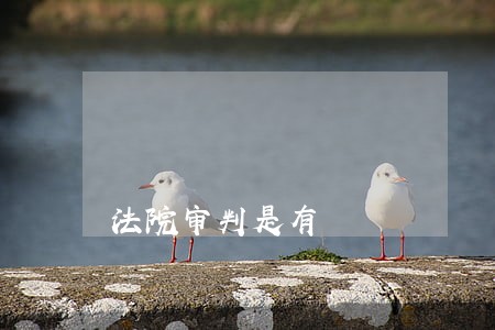 法院审判是有 法院审判是有