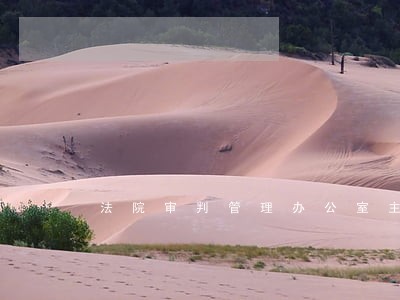 法院审判管理办公室主任工作总结 法院审判管理办公室主任工作总结