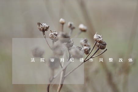 法院审判纪律作风整改体会