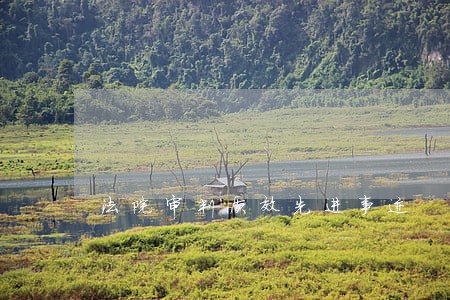 法院审判质效先进事迹 法院审判质效先进事迹