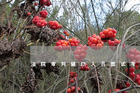法院审判辅助人员面试考题