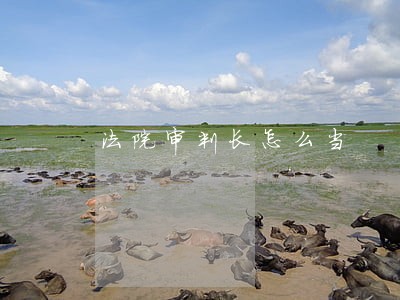 法院审判长怎么当 法院审判长怎么当