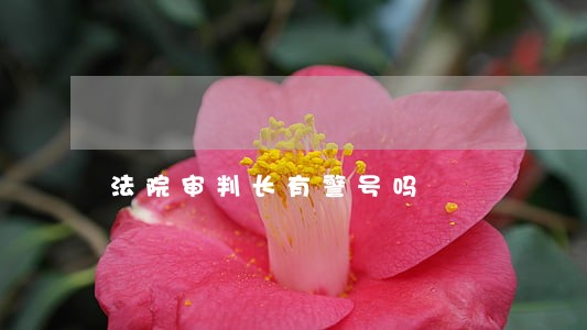 法院审判长有警号吗 法院审判长有警号吗