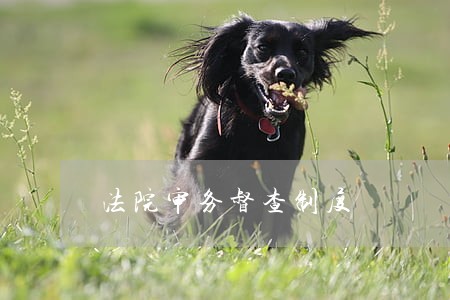法院审务督查制度 法院审务督查制度