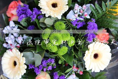法院审完判决书一般几天能出来 法院审完判决书一般几天能出来